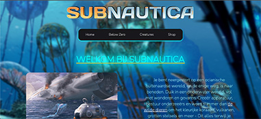 Screenshot van de website