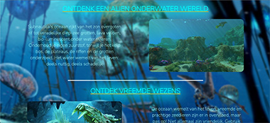 Screenshot van de website