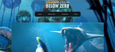 Screenshot van de website