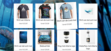 Screenshot van de website